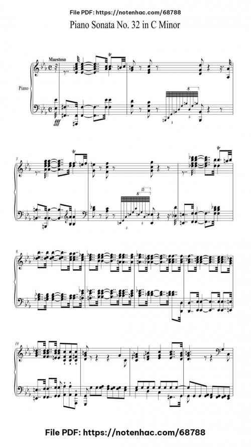 piano sonata no 32 in c minor op 111 i maestoso allegro con brio ed appassionato