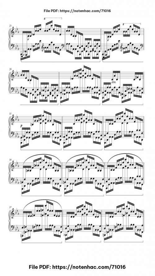 Etude Op. 25 No. 12 in C Minor "Ocean" by Frédéric Chopin Level Mid-Advanced 10 Etude Op. 25 No. 12 in C Minor "Ocean" piano sheet music free pdf