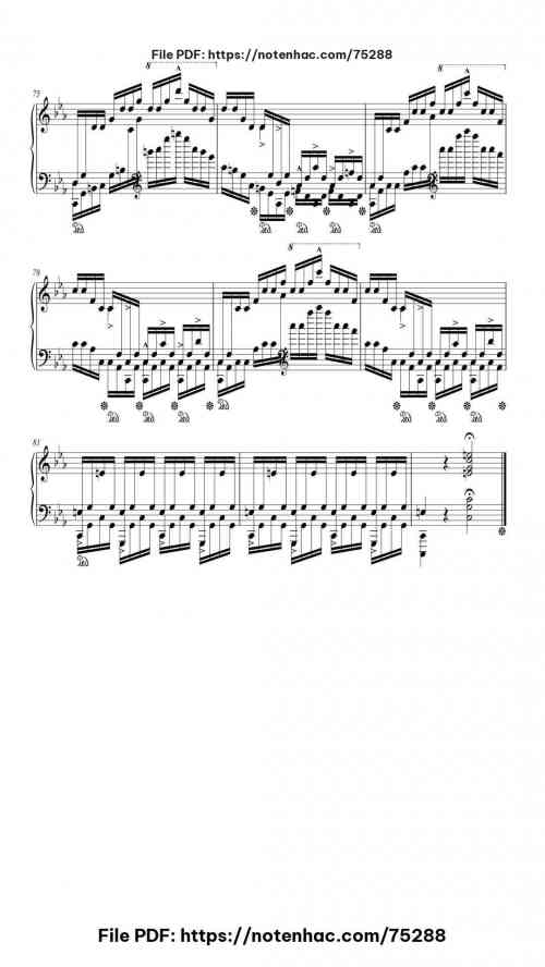 Etude Op. 25 No. 12 in C Minor "Ocean" piano sheet music free pdf