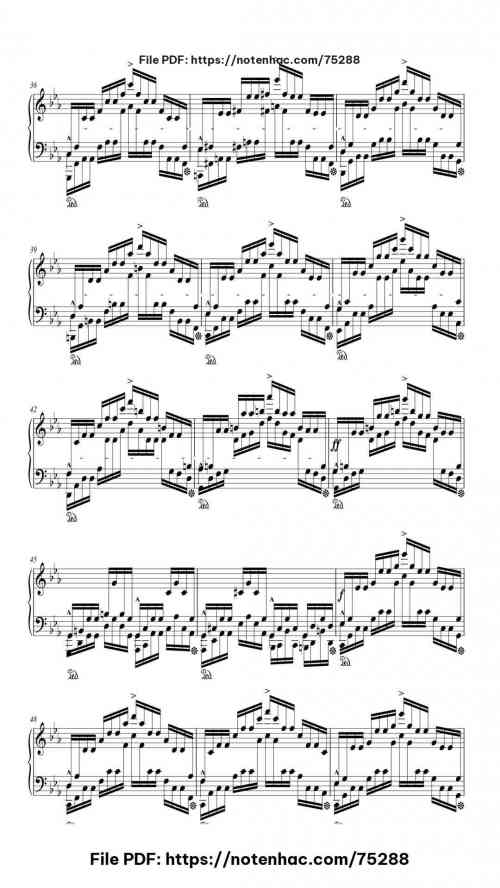 Etude Op. 25 No. 12 in C Minor "Ocean" piano sheet music free pdf