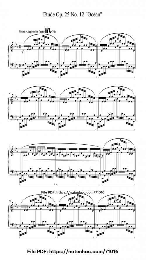 etude op 25 no 12 in c minor ocean